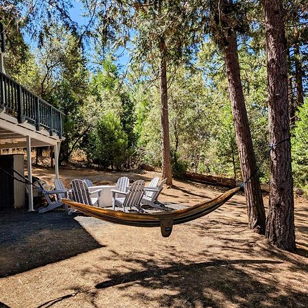 Breckenridge Chalet near Yosemite. Dog friendly! Groveland Eksteriør bilde