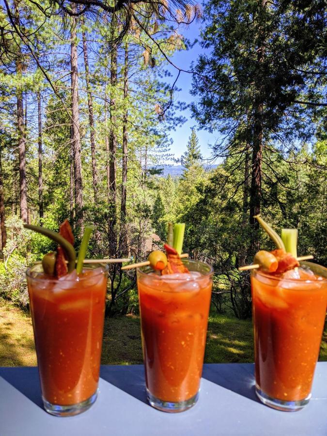 Breckenridge Chalet near Yosemite. Dog friendly! Groveland Eksteriør bilde