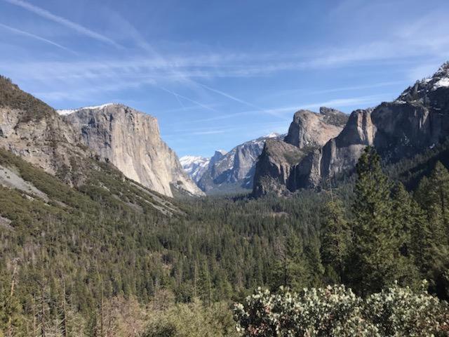 Breckenridge Chalet near Yosemite. Dog friendly! Groveland Eksteriør bilde